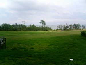 �l�X�g�̑O�̕��i�|�g���^�u�m�A�v��CM�́A����@�q�A���X�ؑ��V��剉�ł����ŎB�e���ꂽ�̂�