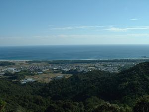 �����R���瑾���m��]�ށB�C�̌������̓A�����J�Ȃ̂�