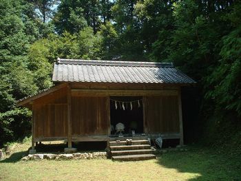 �q�ǂ�����A�����Ń\�t�g�{�[�������Ă����B