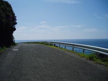 ���̌������ɖl�̐t������E�E�l�ȋC������