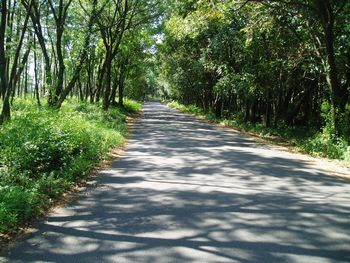 ���̉e�͂܂�Ńo�[�R�[�h