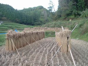 ��؂ɂ����ēV���Ŋ����܂���