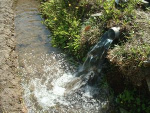 �ƒ�r��������Ȃ��c�ł�����