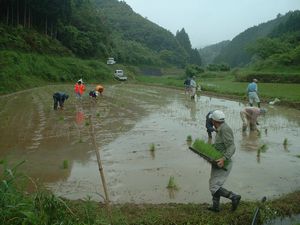 ��������A���ł�